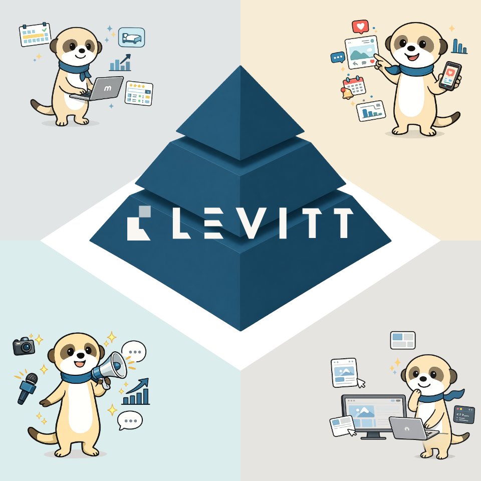 分析AI Levitt